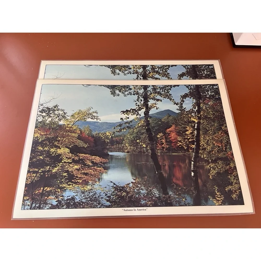Vintage‎ Set Of 2 Fall Winter Reversible Laminated Placemat Nature 1970s Retro